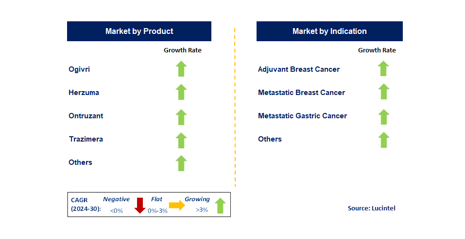 Trastuzumab Biosimilar by Segment